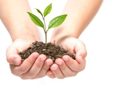 Panevėžio širdyje – Laisvės aikštėje balandžio 26-ąją, nuo 13 iki 15 val., „Ąžuolo“ progimnazijos mokiniai vykdys akciją apie šiukšlių rūšiavimo svarbą žmonijos ateičiai. Jaunieji gamtosaugininkai dalins skrajutes, paruoš vaizdinę medžiagą, aikštėje kurs floristinę kompoziciją.