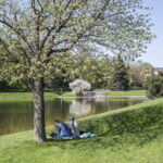 V. BULAIČIO nuotraukos