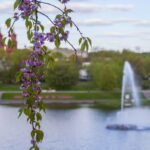 V. BULAIČIO nuotraukos