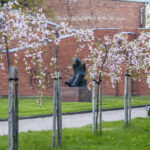 V. BULAIČIO nuotraukos