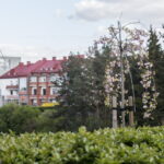 V. BULAIČIO nuotraukos