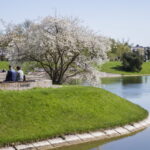 V. BULAIČIO nuotraukos