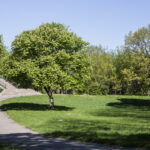 V. BULAIČIO nuotraukos