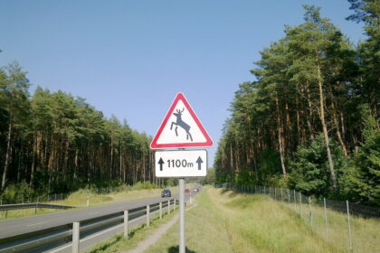 Nemaloni policijos pareigūno ir laukinio gyvūno akistata kelyje baigėsi pastarojo žūtimi.