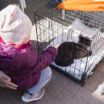 V. BULAIČIO nuotraukos