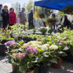 V. BULAIČIO nuotraukos