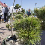 V. BULAIČIO nuotraukos