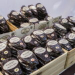 V. BULAIČIO nuotraukos