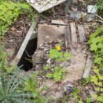 V. BULAIČIO nuotraukos