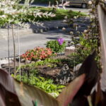 V. BULAIČIO nuotraukos