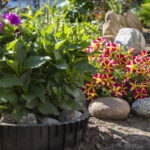 V. BULAIČIO nuotraukos