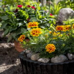 V. BULAIČIO nuotraukos