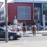 V. BULAIČIO nuotraukos