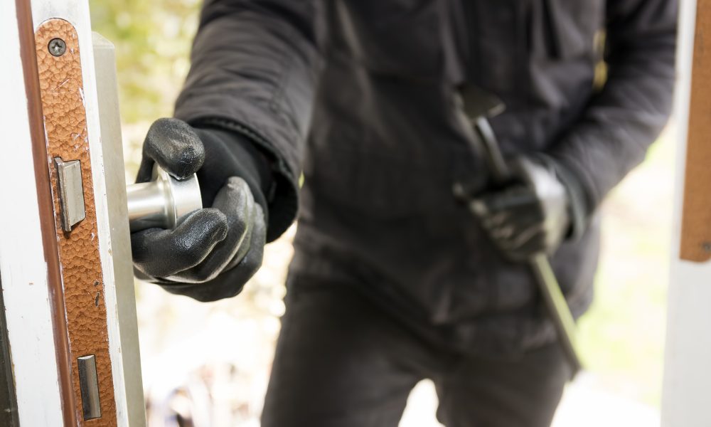 Panevėžyje vagys čiumpa ne tik pinigines, bet ir stambesnį grobį.