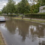 V. BULAIČIO nuotrauka