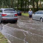 V. BULAIČIO nuotrauka