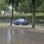 V. BULAIČIO nuotrauka