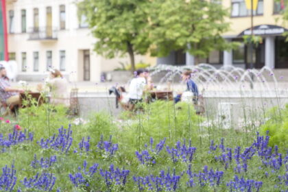 Savaitgalį sinoptikai žada puikius orus, bet įspėja: vienai dienai atplūs tikras karštis.