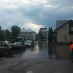 D. SAVICKIENĖS nuotrauka