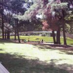 Nors vasaros šventės – Joninės ir Mindauginės – praėjo, Skaistakalnio parke antradienį kažkas sumanė sukurti laužą.