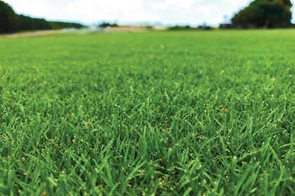 Pastarąją parą apskrityje nustatyti net keturi neblaivūs vairuotojai.