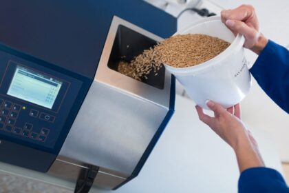 Laukuose jau rėplioja kombainai. Nuo praėjusios vasaros ūkininkams neviltį variusios ekstremalios gamtos išdaigos bene skausmingiausios pietinėje šalies dalyje. Panevėžio rajonas pateko tarp 25 proc. pasiekusiųjų geriausią derlingumą.