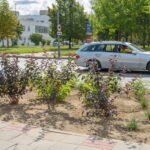 M. GARUCKO nuotraukos