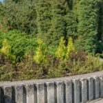 M. GARUCKO nuotraukos