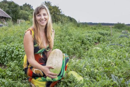 Žengdami koja kojon su agrarinės kultūros madomis, Lietuvos ūkininkai griebiasi įvairiausių naujovių. Panevėžio rajono laukuose saulės atokaitoje noksta ne kas kitas, o arbūzai. Kas paskatino daržininkę auginti egzotiškus vaisius?