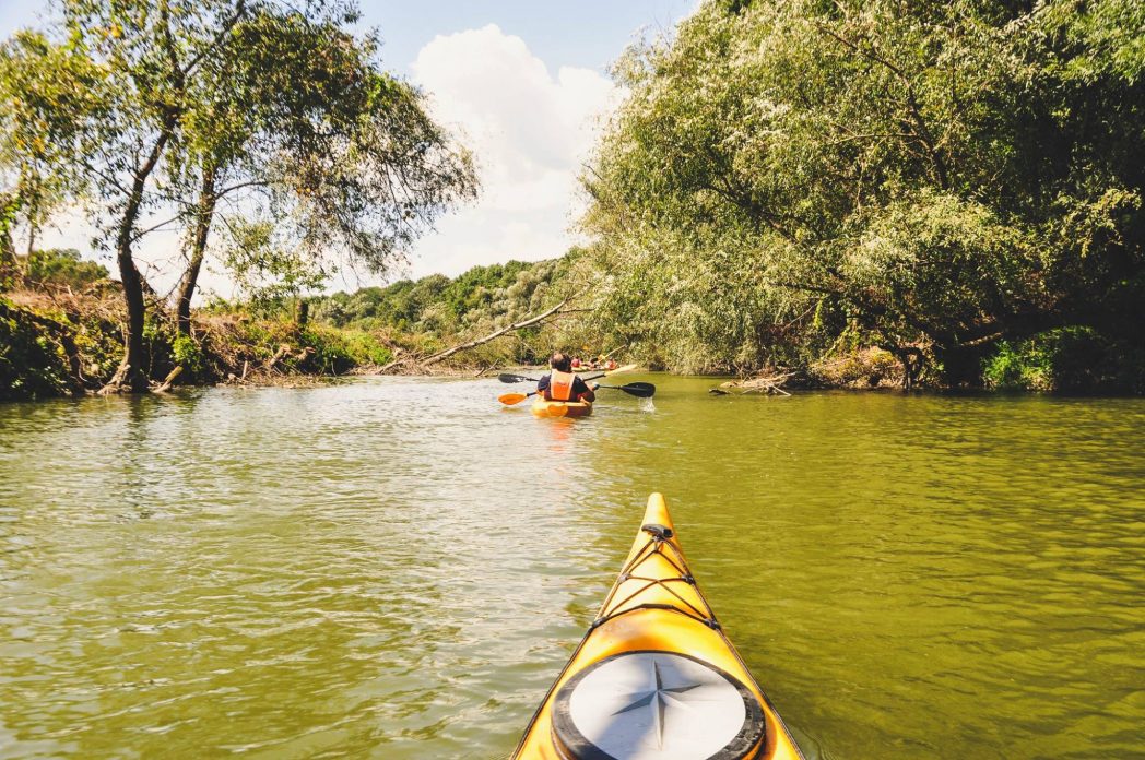 Ar žinojote, kad būtent vasarą net visiems metams galime pasisemti gyvybinės energijos, papildyti vitamino D atsargas? Juk daugeliui iš mūsų to vitamino itin trūksta šaltuoju sezonu.