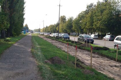 Panevėžio miesto savivaldybės užsakymu pradėti J. Janonio g. (nuo žiedo iki Vakarinės g.) prieigų sutvarkymo darbai. Deja, dirbti statybininkams trukdo palei gatvę sustatyti įvairių įmonių reklamos stendai.