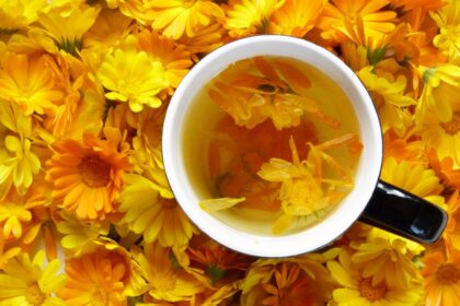 Nuo birželio iki pirmųjų šalnų mus džiugins ryškiai geltoni medetkų žiedai. Tai itin vertingos vaistažolės, kurių atsargomis turėtume pasirūpinti kiekvienas.