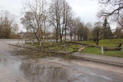 Trečiadienio vakarą visoje šalyje siautėjęs itin smarkus vėjas uždavė darbo ir Panevėžio ugniagesiams. Šiems teko vykti vieną paskui kitą šalinti ant kelių nuvirtusius medžius.