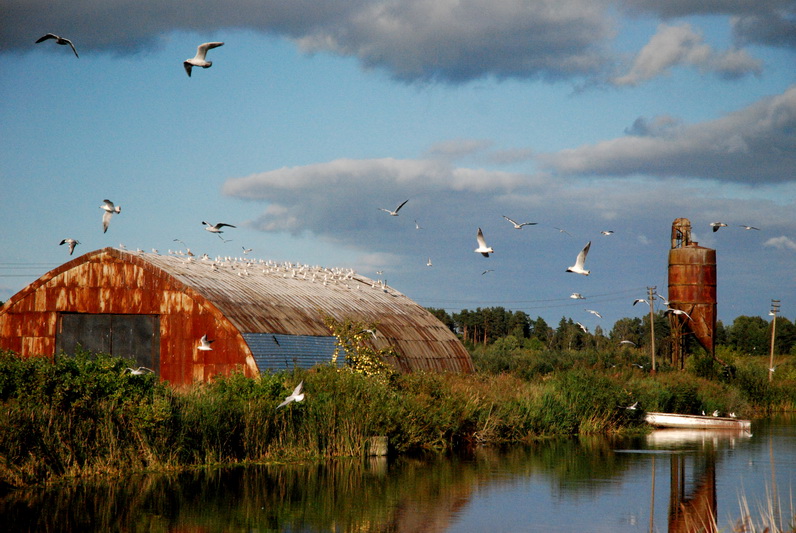 Laikščiai. Marijos ŠILEIKAITĖS-ČIČIRKIENĖS nuotr.