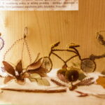 M. GARUCKO nuotraukos