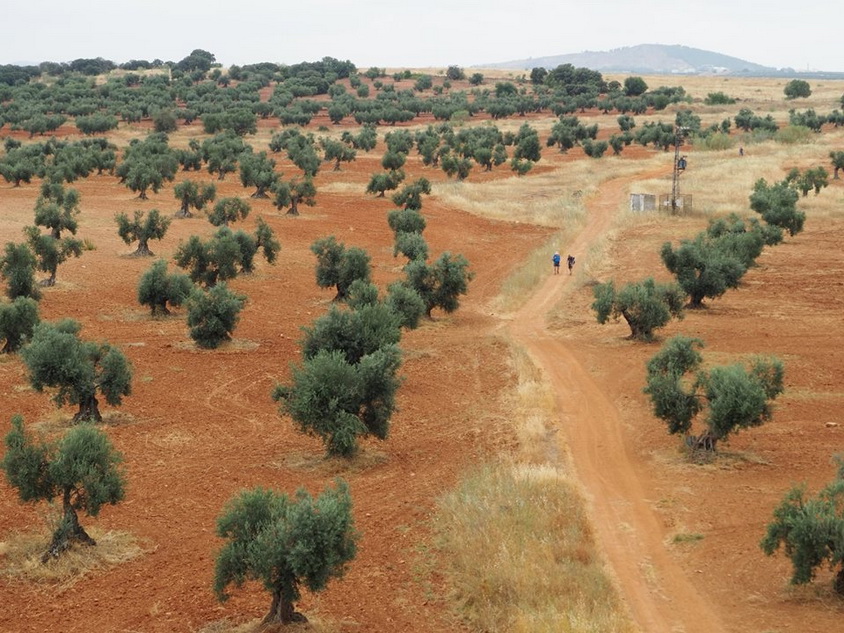 ASMENINIO ARCHYVO nuotr.