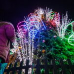 M. GARUCKO nuotraukos