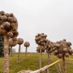 Naujamiesčio miestelio pakrašty jau trylika metų kiekvieną rudenį po atviru dangumi išauga įspūdingų šiaudinių skulptūrų parkas. Net dešimtmetį prieš Vėlines kelis mėnesius kurti šedevrai iš šiaudų virsdavo unikalia ugnies, muzikos ir šokio misterija, sutraukdavusi didžiules minias smalsuolių.