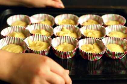 Iki šiol norint parduoti namuose pagamintą tortą ar vieno kąsnio užkandžius Lietuvoje reikėjo keisti pastato paskirtį, nes įstatymas neleido užsiimti maisto gamyba gyvenamosios paskirties pastatuose. Lapkričio pabaigoje Vyriausybės priimtas nutarimas dėl statinių naudojimo ne pagal paskirtį atvejų išplėtimo atveria galimybę daugeliui verslių gyventojų savo namuose užsiimti legalia veikla ir kurtis naujiems.