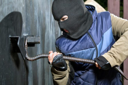 Net ir garaže automobilį laikantys savininkai negali būti garantuoti, kad vieną dieną atėję savo transporto priemonės neberas.