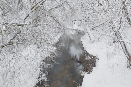 Kiekvieno vaikystėje, be kitų nuostabių dalykų, be abejo, buvo ir upė. Vienų prisiminimuose jos išlikusios plačios, galingos, kitų – mažytės, siauros ir sraunios.