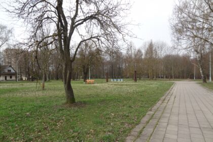 Pasisėdėjimas gryname ore vienai jaunai moteriai baigėsi smūgių kruša.