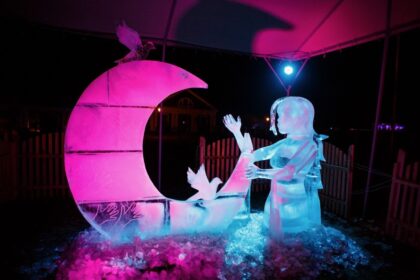 Vasario 22-24 dienomis Pakruojo dvare turėjęs vykti ledo skulptūrų ir ugnies festivalis „Ledo karalystė“ yra atšaukiamas. Pasitarę su ledo skulptūrų meistrais, festivalio organizatoriai nusprendė atšaukti renginį dėl atšilusio oro sąlygų.