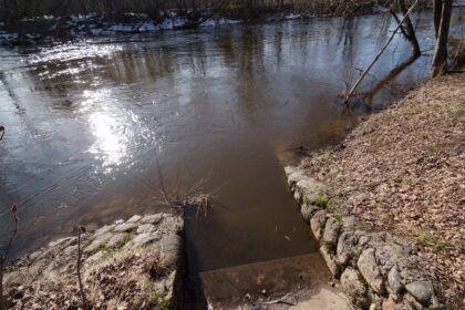 Nelauktai anksti pradėję šilti orai šalia upių įsikūrusius kraštiečius apdovanojo ir ankstyvu galvos skausmu dėl gresiančio potvynio. Juolab kad Panevėžio rajone tvinstantis Nevėžis jau ne pirmus metus graso ir ekologine nelaime.