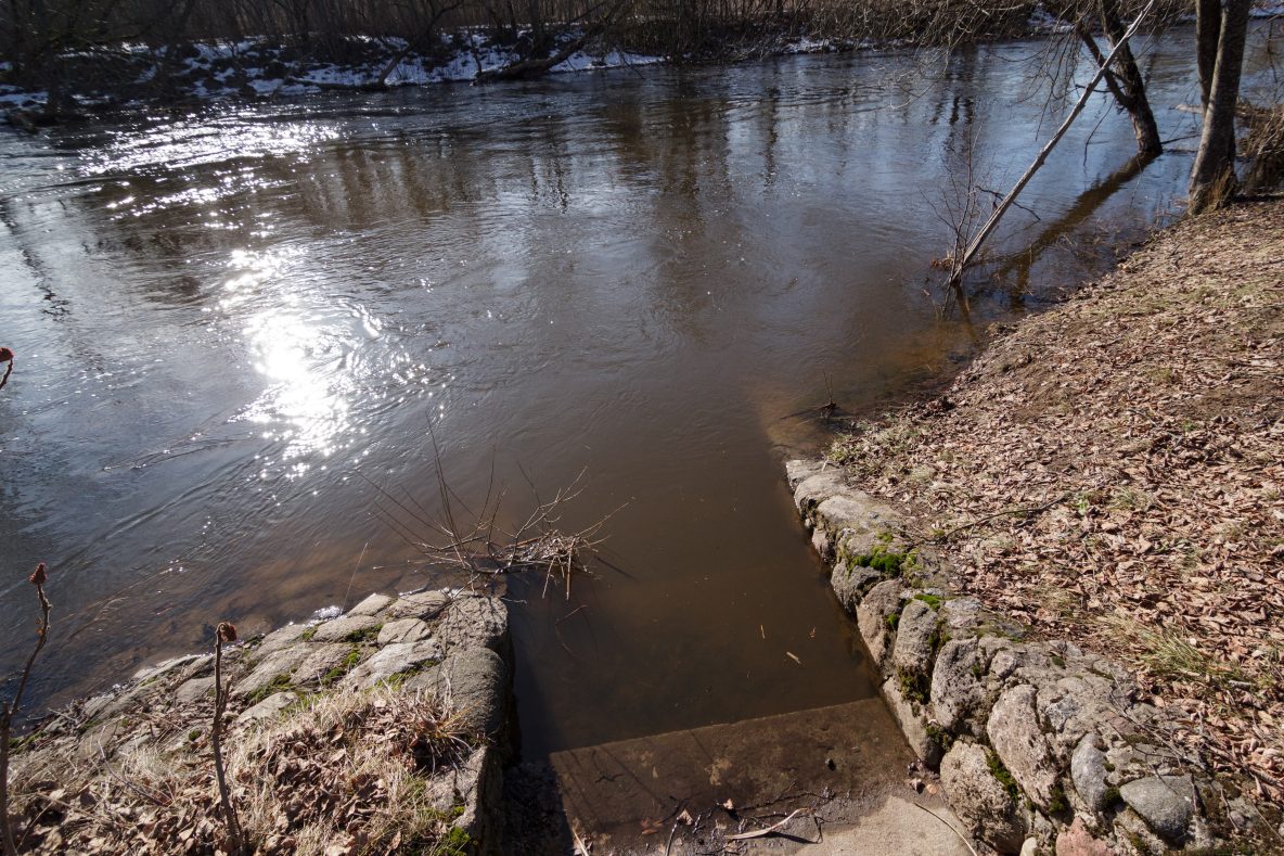Nelauktai anksti pradėję šilti orai šalia upių įsikūrusius kraštiečius apdovanojo ir ankstyvu galvos skausmu dėl gresiančio potvynio. Juolab kad Panevėžio rajone tvinstantis Nevėžis jau ne pirmus metus graso ir ekologine nelaime.
