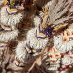 M. GARUCKO nuotraukos