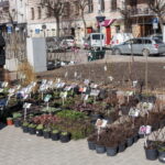 M. GARUCKO nuotraukos