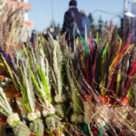 M. GARUCKO nuotraukos