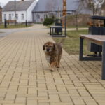 Raguva. M. GARUCKO nuotrauka