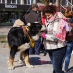 M. GARUCKO nuotraukos